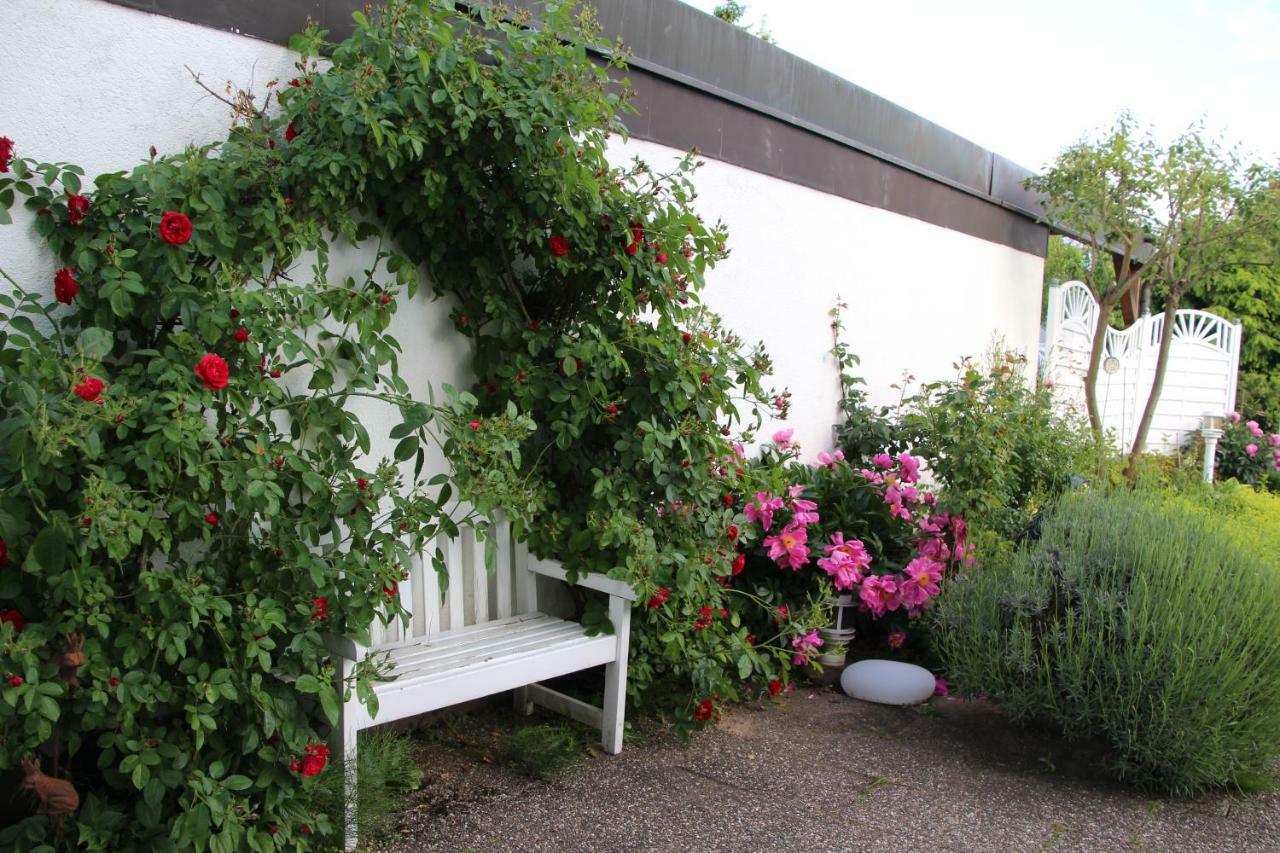 Schoene Zimmer Im Zentrum Leben Offenburg Bagian luar foto